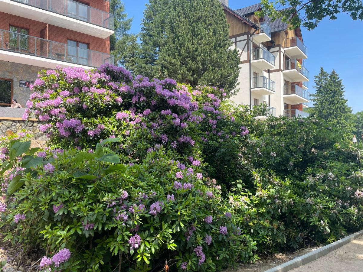 Apartament N&B Szklarska Poreba Extérieur photo